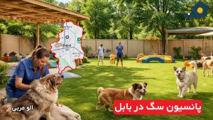 پانسیون سگ در بابل