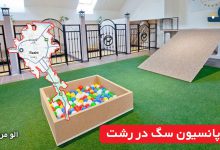 پانسیون سگ در رشت