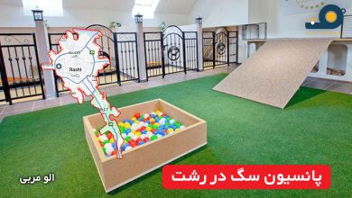 پانسیون سگ در رشت