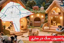 پانسیون سگ در ساری
