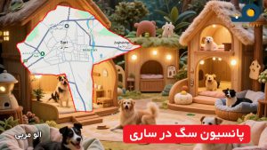 پانسیون سگ در ساری