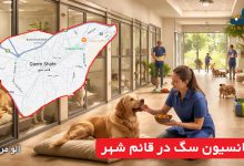 پانسیون سگ در قائم شهر