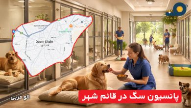 پانسیون سگ در قائم شهر