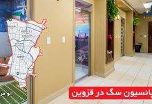 پانسیون سگ در قزوین