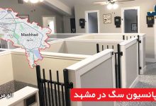 پانسیون سگ در مشهد