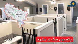 پانسیون سگ در مشهد