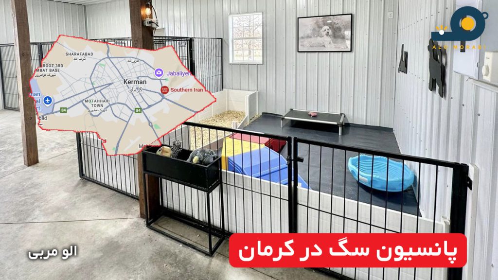 پانسیون سگ در کرمان