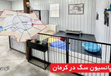 پانسیون سگ در کرمان
