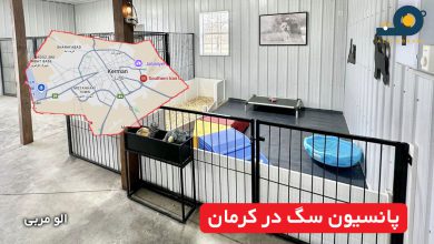 پانسیون سگ در کرمان