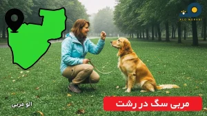 مربی سگ در رشت