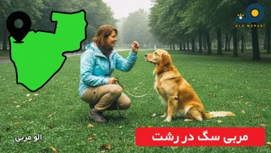 مربی سگ در رشت