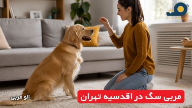 مربی سگ در اقدسیه تهران