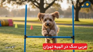 مربی سگ در الهیه تهران