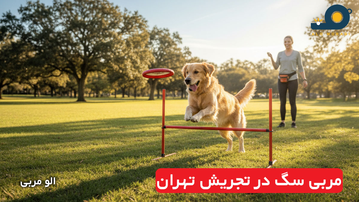 مربی سگ در تجریش تهران