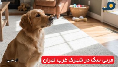 مربی سگ در شهرک غرب تهران