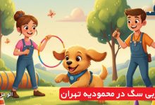 مربی سگ در محمودیه