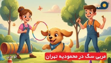 مربی سگ در محمودیه