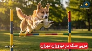 مربی سگ در نیاوران تهران